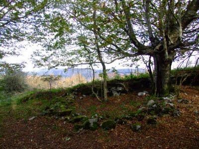 Hayas trasmochas en Gaztelumendi