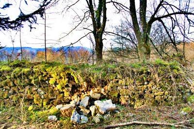 Hayas trasmochas en Gaztelumendi