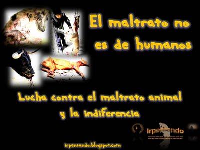 Campaña contra el Maltrato de Animales: El maltrato no es de humanos