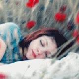 Recopilación de sorteos