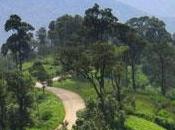 Viajes: norte Tailandia motocicleta