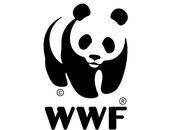 Panda Ball 2011 Chopard