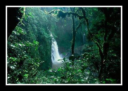Panda Ball 2011 por Chopard