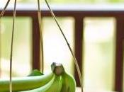 Vuestras consultas: ¿anorexia?