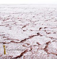 La sal del desierto