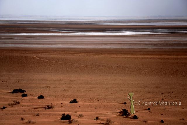 La sal del desierto