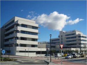 El Instituto de Ciencias Matemáticas elegido centro de excelencia del Programa Severo Ochoa