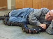 escurridizas como reales pero útiles: Serpientes-robot