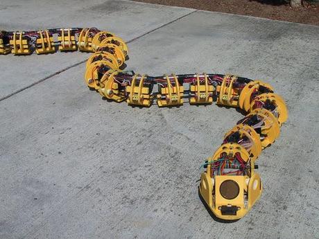 Tan escurridizas como las reales pero más útiles: Serpientes-robot