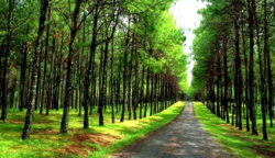 LA EXPLICACION QUE ME SALVO