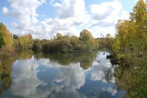 VIVIR LA VIDA DESDE DENTRO…