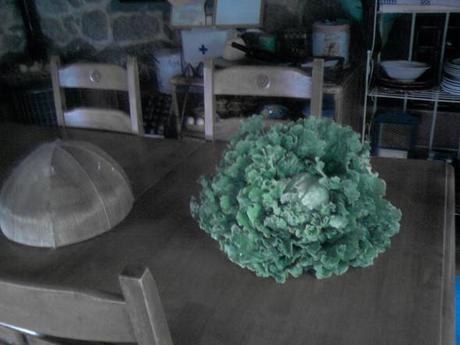 Foto de nofler: lechuga da miña terra, tan grande como el corazón de la persona que la plantó - 