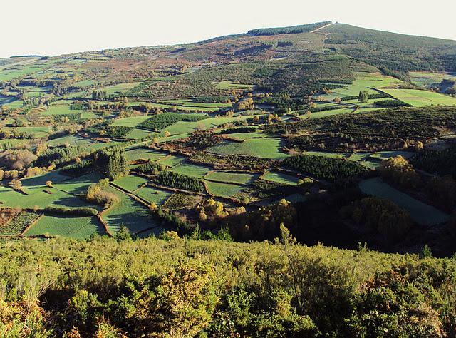 Usos tradicionales y Conservación de la Naturaleza