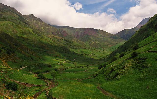 Usos tradicionales y Conservación de la Naturaleza