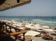 CON LA OREJA ENCENDIDA…