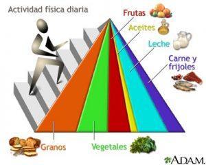 ¿QUÉ OPINÁIS SOBRE LA PIRÁMIDE NUTRICIONAL?