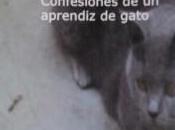Nuevo libro 'contigomismo. confesiones aprendiz gato'