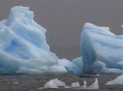 Antártida: Colapsa plataforma hielo 1.200