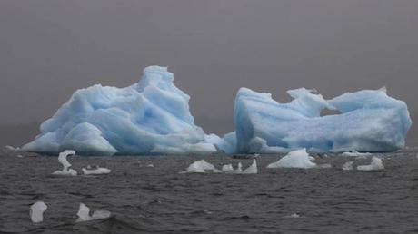 Antártida: Colapsa una plataforma de hielo de más de 1.200 Km²