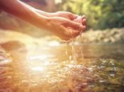 IBM: Conocimiento tecnología para abordar cambio climático, agricultura sostenible gestión calidad aguas subterráneas