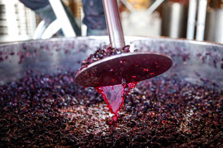 VINOS DE CHELVA