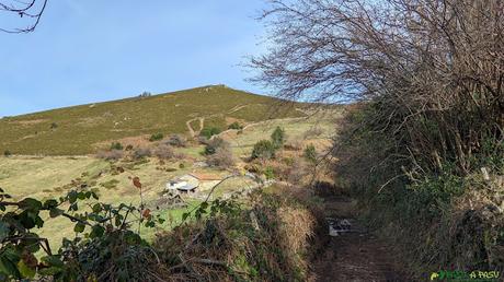 Camino junto a cabaña