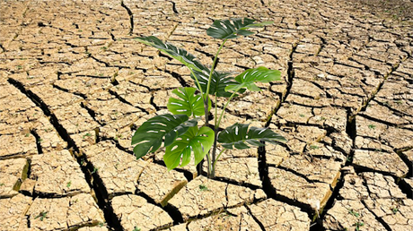 ¿HA DE SOBREVIVIR LA ESPERANZA MÁS ALLÁ DE LO ESPERADO? ¿HA DE SOBREVIVIR LA ESPERANZA MÁS ALLÁ DE LO ESPERADO?