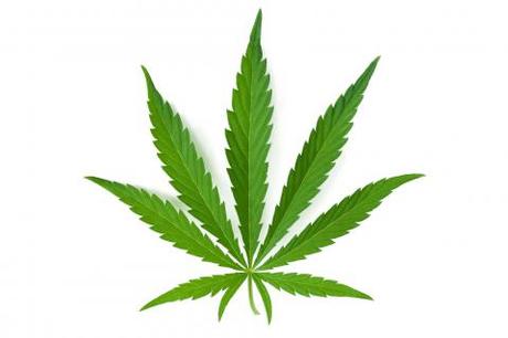 Drogas: Marihuana (I)