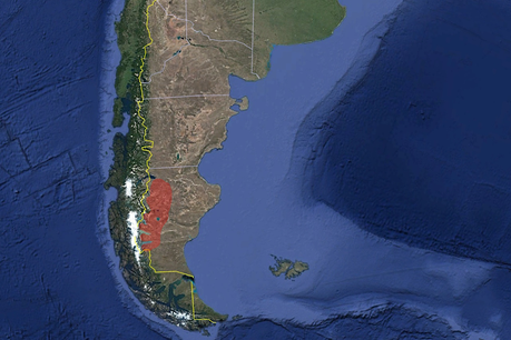 Chinchillón anaranjado (Lagidium wolffsohni)