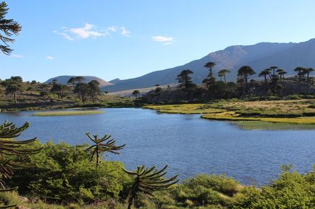 Caviahue: al pie del volcán