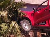 Camioneta choca derriba palmera colonias Terceras