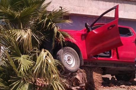 Camioneta choca y derriba palmera en colonias Las Terceras