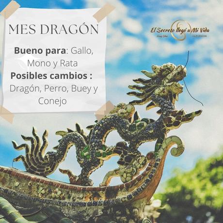 Relaciones en el mes Dragón 2022