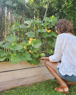 Huerta en casa: tips para almacenar semillas de tomate