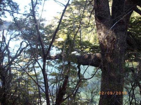 Patagonia Andina, portal de la belleza natural