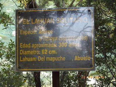 Patagonia Andina, portal de la belleza natural