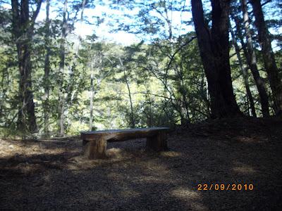 Patagonia Andina, portal de la belleza natural