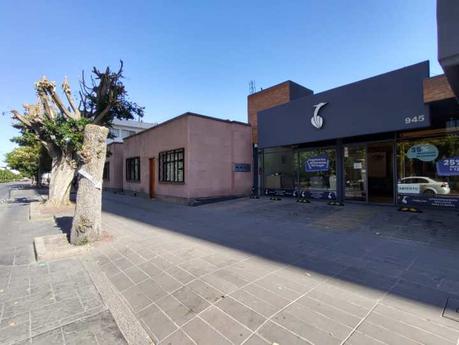 Mueblerías Garza  destruye árboles en avenida Carranza