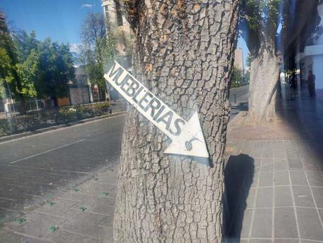 Mueblerías Garza  destruye árboles en avenida Carranza