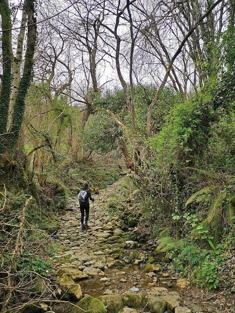 Circular a Banduxo por camín vieyu.