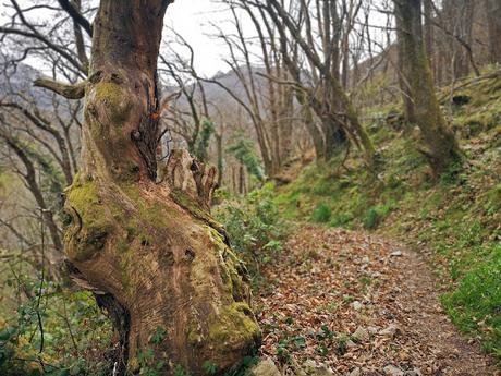 Circular a Banduxo por camín vieyu.
