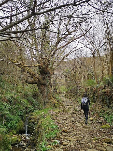 Circular a Banduxo por camín vieyu.