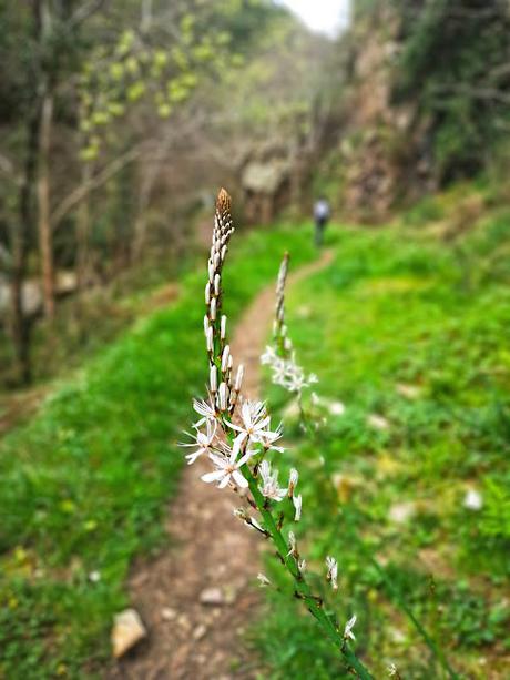 Circular a Banduxo por camín vieyu.