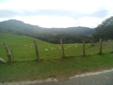 LORRA asesora a 23 jóvenes que quieren emprender en el Agro en Bizkaia