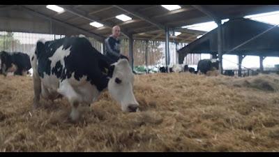 Vaca, un proyecto que impacta en el espectador Vaca, un proyecto que impacta en el espectador