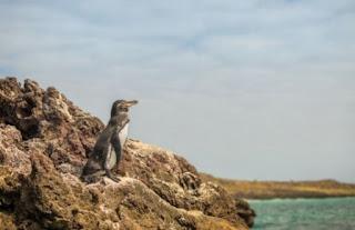 487 AÑOS DEL DESCUBRIMIENTO DE LAS ISLAS GALÁPAGOS