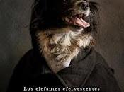 Elefantes Efervescentes Drama Comedia (2015)