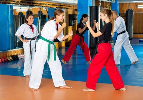 Las opiniones sobre el curso de instructor de Mugendo Las opiniones sobre el curso de instructor de Mugendo