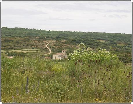 Iglesia de San Fructuoso, Colmenares