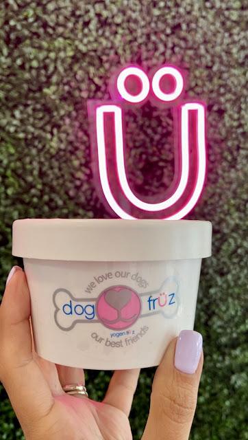 Dog Früz: Descuento del 20% Beagles de Panamá